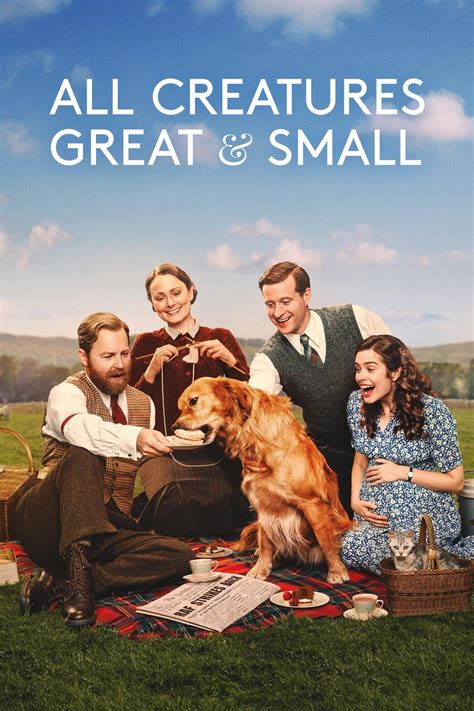 万物生灵 第二季All Creatures Great and Small[2021英国 / 美国]高 .